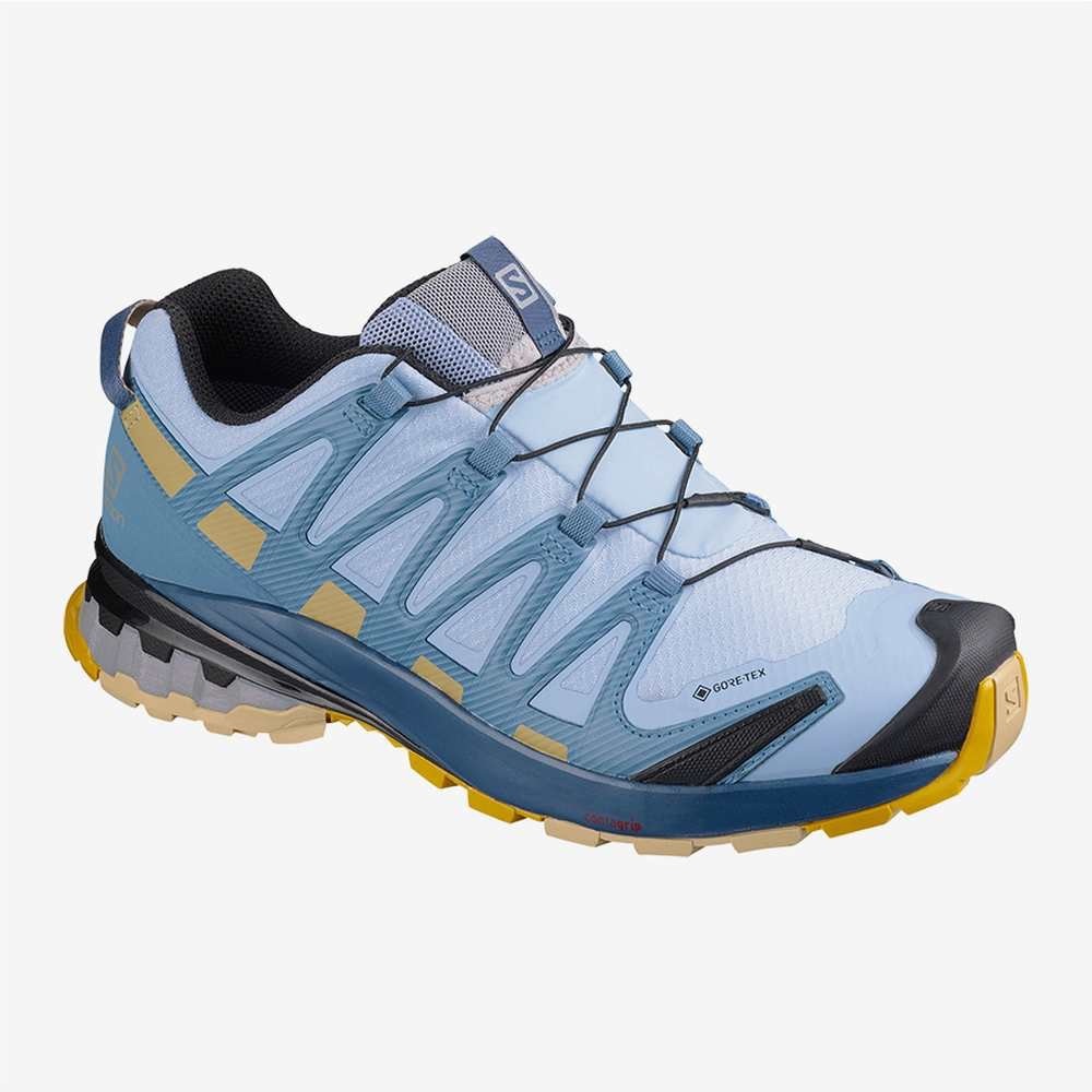XA Pro 3D V9 GORE-TEX Trail Running Shoe - Women's